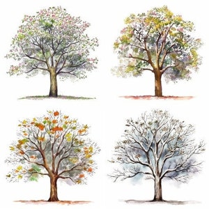 Seasonal Tree Clipart, Nature Illustrations, Watercolour Art