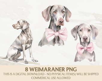 Könnte beinhalten: Drei Aquarell-Illustrationen von Weimaraner-Hunden. Die Hunde sind alle grau und haben rosa Schleifen. Ein Hund sitzt, die anderen beiden schauen in die Kamera.