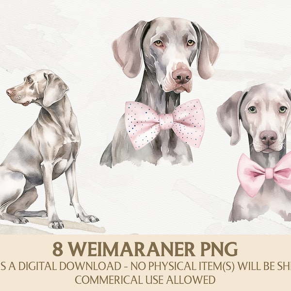 Watercolor Weimaraner Clipart, Weimaraner Png Bundle, Instant Digital Download, Commercial Use Graphics, Card Making, Scrapbooking Art Craft