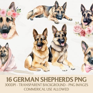 Watercolor German Shepherd Clipart, German Shepherd Png Bundle, Instant Digital Download, Commercial Use Graphics, Card Making, Scrapbooking