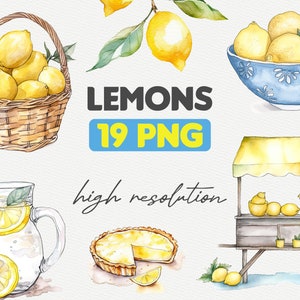 Aquarelle citron Clipart, agrumes Png, téléchargement numérique PNG, usage Commercial, stand de citron, limonade, tarte au citron Téléchargement numérique instantané