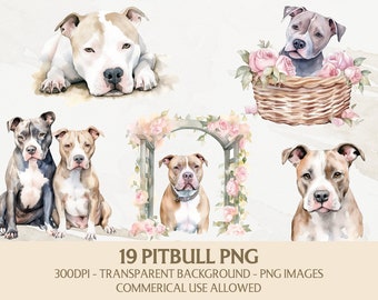 Watercolor Pitbull Clipart, Pitbull Png Bundle, Instant Digital Download, Commercial Use Graphics, Card Making, Scrapbooking, Arts & Crafts