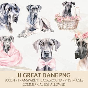 Watercolor Great Dane Clipart, Great Dane Png Bundle, Instant Digital Download, Commercial Use Graphics, Card Making, Scrapbooking Crafts