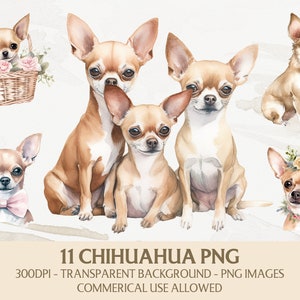 Watercolor Chihuahua Clipart, Chihuahua Png Bundle, Instant Digital Download, Commercial Use Graphics, Card Making, Scrapbooking, Art Crafts