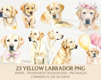 Acuarela Labrador Clipart, Paquete Png Labrador Amarillo, Descarga Digital Instantánea, Gráficos de Uso Comercial, Fabricación de Tarjetas, Scrapbooking