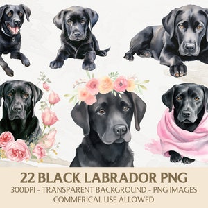 Watercolor Labrador Clipart, Black Labrador Png Bundle, Instant Digital Download, Commercial Use Graphics, Card Making, Scrapbooking