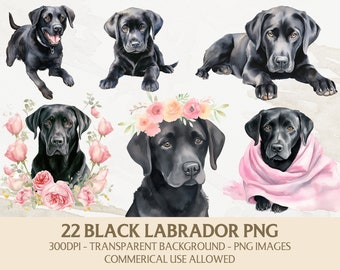 Aquarell Labrador Clipart, schwarzer Labrador Png Bundle, sofortiger digitaler Download, kommerzielle Nutzung Grafiken, Kartenherstellung, Scrapbooking
