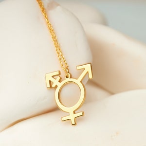Transgender Symbol Necklace, Valentine Gift, Gift for Them, Trans Pride Necklace, LGBT Necklace, LGBT Pride Jewelry, Gift for Him - U064