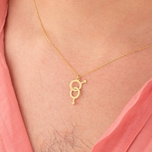 Interlocking Mars Symbol Necklace, LGBT Pride Jewelry