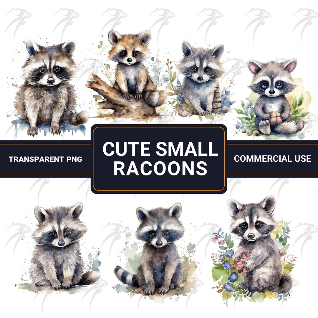 Watercolor Cute Small Racoon 20 High Quality Digital Art Pngs Cute ...
