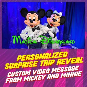 Personalized Surprise Trip Land California Reveal Video, Custom Message from Mickey and Minnie Mouse, Magical Trip Announcement