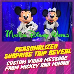 Video personalizzato di presentazione del viaggio a sorpresa a Orlando, messaggio personalizzato da Topolino e Minnie, annuncio del viaggio magico in Florida