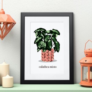 Printable House Plant Wall Art Print | Digital Download | Botanical Home Decor | Calathea Misto