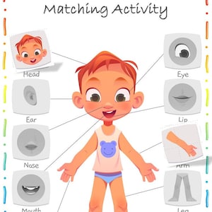 Actividad de emparejar partes del cuerpo para niños pequeños, Cuerpo humano, Página de libro ocupado para niños pequeños, Carpeta de aprendizaje, Preescolar, Hoja de trabajo imprimible