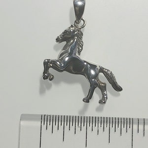 May include: Silver horse pendant charm. The horse is standing on its hind legs with its head turned to the side. The pendant is about 1 inch tall.