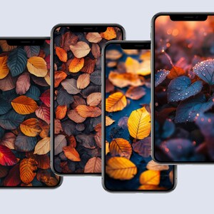Autumn leaves, Modern Aesthetic Digital Background, Digital Wallpaper, Minimalist iPhone, Instant Download, Autumn Wallpaper, Autumn rain