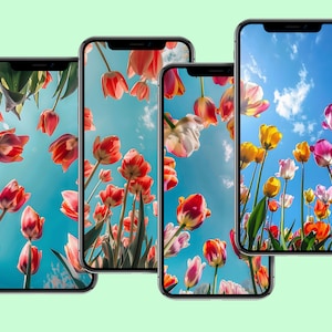 Handy Wallpaper, Blumen Hintergrundbilder, Handy, Digital Wallpaper, Digital Download, iPhone Hintergrundbilder, Android Hintergrundbilder, Blumen Hintergrundbilder