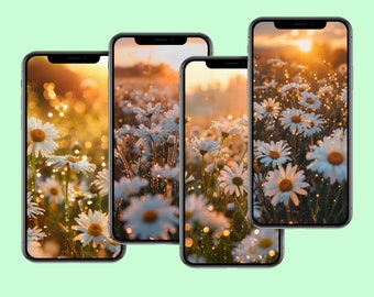 Spring Daisy Mobile Wallpaper: 4-Pack Floral iPhone & Android Backgrounds (Digital Download)