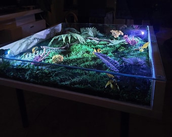 May include: A glass-topped coffee table with a miniature indoor garden inside. The garden features green moss, ferns, and other plants, illuminated by blue LED lights.
