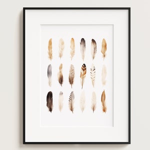 Feathers, Bird Feathers, Feather Art, Bird Art, Bible Verse Print, Bird Plumage, Christian Art, Christian Gift, Bible Wall Art, Jesus Art