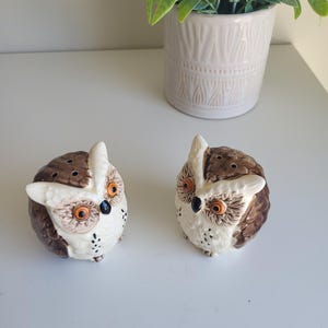 May include: A pair of ceramic owl salt and pepper shakers. The owls are brown and white with orange eyes and black pupils. They are sitting on a white surface.