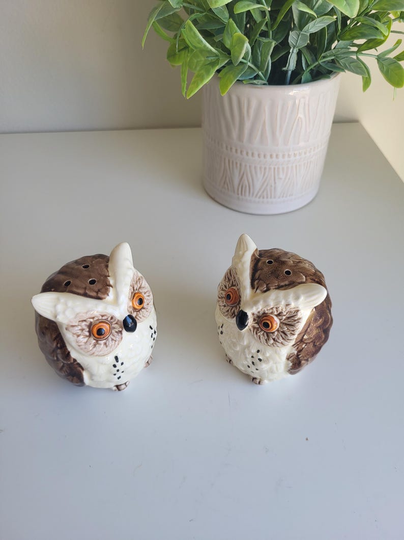 May include: A pair of ceramic owl salt and pepper shakers. The owls are brown and white with orange eyes and black pupils. They are sitting on a white surface.