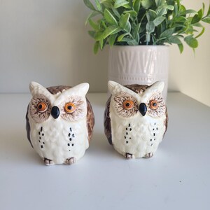 May include: Two ceramic owl salt and pepper shakers. The owls are white with brown markings and orange eyes. They are sitting on a white surface.