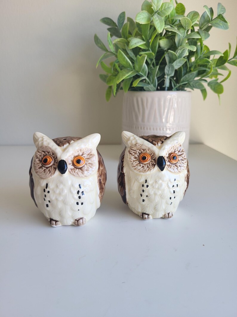 May include: Two ceramic owl salt and pepper shakers. The owls are white with brown markings and orange eyes. They are sitting on a white surface.