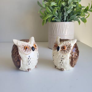 May include: Two ceramic owl salt and pepper shakers. The owls are brown and white with orange eyes. They are sitting on a white surface.
