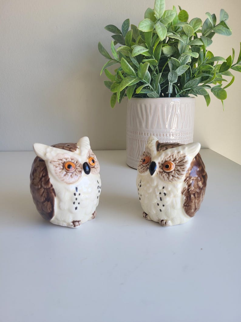 May include: Two ceramic owl salt and pepper shakers. The owls are brown and white with orange eyes. They are sitting on a white surface.