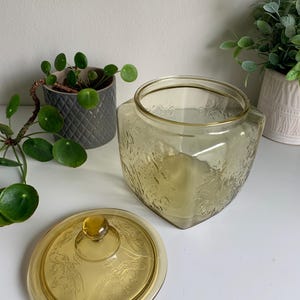 Pode incluir: Um pote de vidro de cor oliva com formato quadrado e tampa remov&iacute;vel a condizer. O vidro apresenta um padr&atilde;o floral em relevo nas superf&iacute;cies exteriores do pote e no topo da tampa, que inclui um pequeno puxador de vidro arredondado.