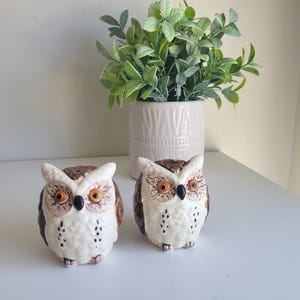May include: Two ceramic owl salt and pepper shakers. The owls are white with brown markings and have orange eyes. They are sitting on a white surface.