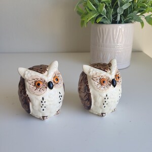 May include: A pair of ceramic owl salt and pepper shakers. The owls are brown and white with black eyes and orange beaks. They are sitting on a white surface.