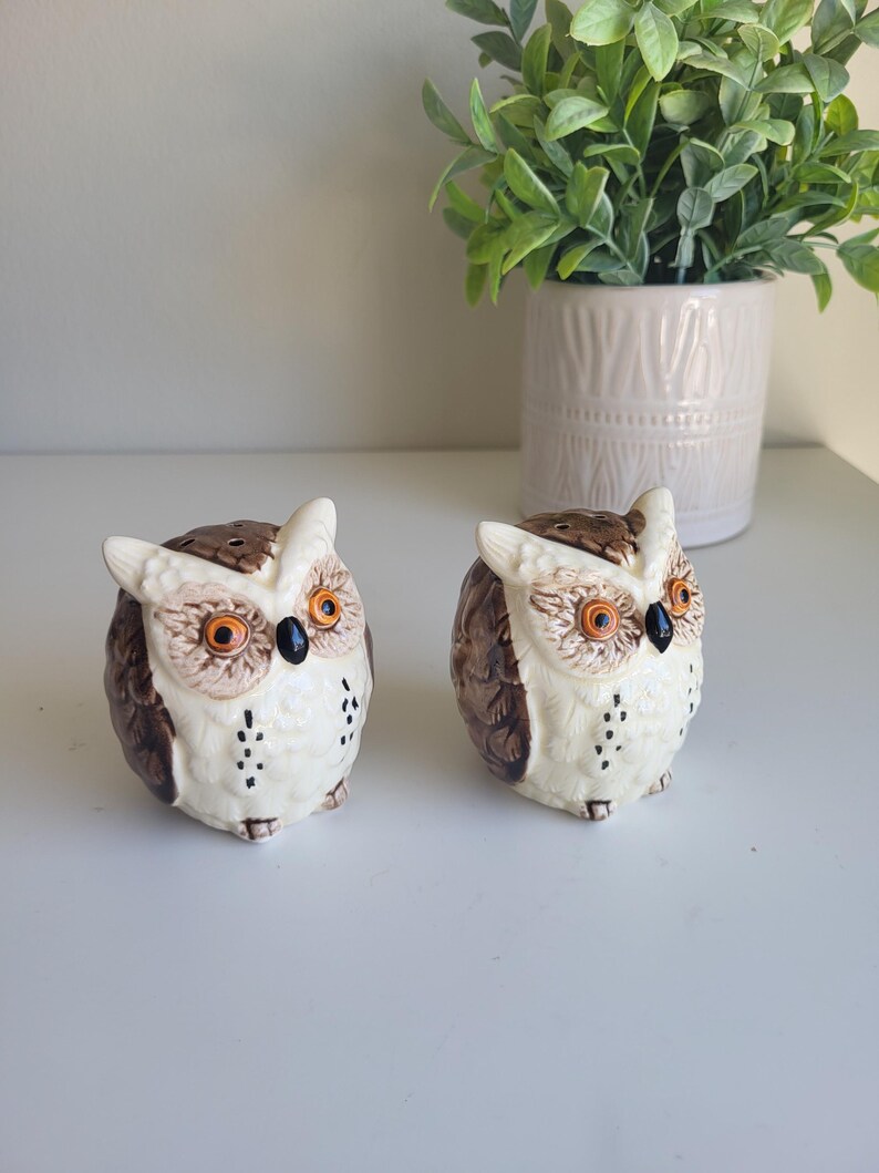 May include: A pair of ceramic owl salt and pepper shakers. The owls are brown and white with black eyes and orange beaks. They are sitting on a white surface.