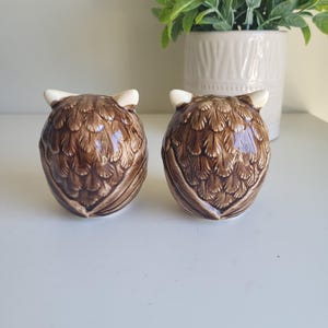 May include: A set of two brown ceramic owl salt and pepper shakers. The owls have white beaks and eyes and are detailed with brown feathers.