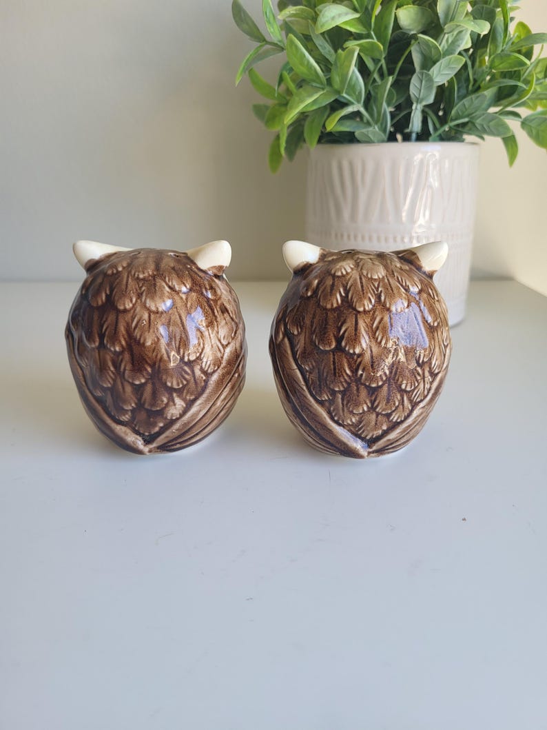 May include: A set of two brown ceramic owl salt and pepper shakers. The owls have white beaks and eyes and are detailed with brown feathers.