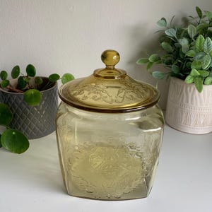 Pode incluir: Um frasco de vidro de cor &acirc;mbar de formato quadrado com uma tampa a condizer com um pequeno puxador redondo. O corpo e a tampa de vidro apresentam um padr&atilde;o em relevo com motivos florais e volutas. O frasco tem cantos arredondados.