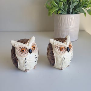 May include: A pair of ceramic owl salt and pepper shakers. The owls are brown and white with black eyes and orange beaks. They are sitting on a white surface.