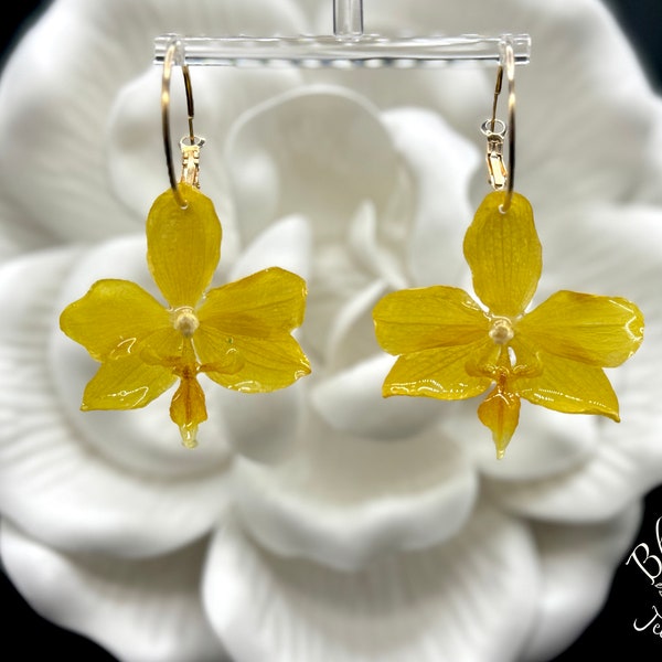 REAL ORCHID Earrings, Yellow Orchids, Preserved Real Flowers, Gold Hoops. Orchid Lovers Gift!