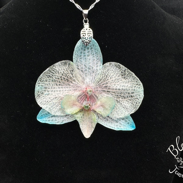 REAL ORCHID Necklace, Large Lacy Blue & Rainbow Colors Preserved Orchid, 925 Silver Twist Chain. Orchid Lovers Gift!