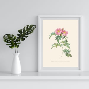 Botanical Minimalist Vanderpump Rules Printable Print with Ariana Madix Quote - Home Decor Art Digital Download