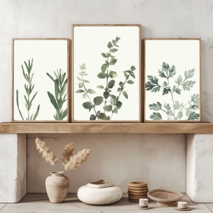 Natürliche minimalistische botanische Wandkunst | 3er-Set Aquarell Kräuterdrucke | Druckbare Dekor | Geschenk für Gärtner Pflanzen-Liebhaber | Antik, Kunstvoll
