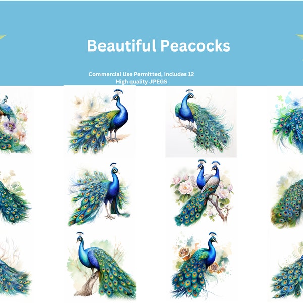 12 Beautiful Peacocks  - High Quality JPGs - Digital Download - Card Making, Mixed Media, Digital Paper Craft, Clipart, Scrapbooking, Decor