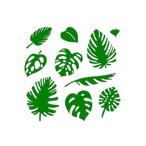 Tropical leaves svg | monstera leaf svg clipart | commercial use svg | jungle leaves clipart | palm branch svg | tropical party decor |