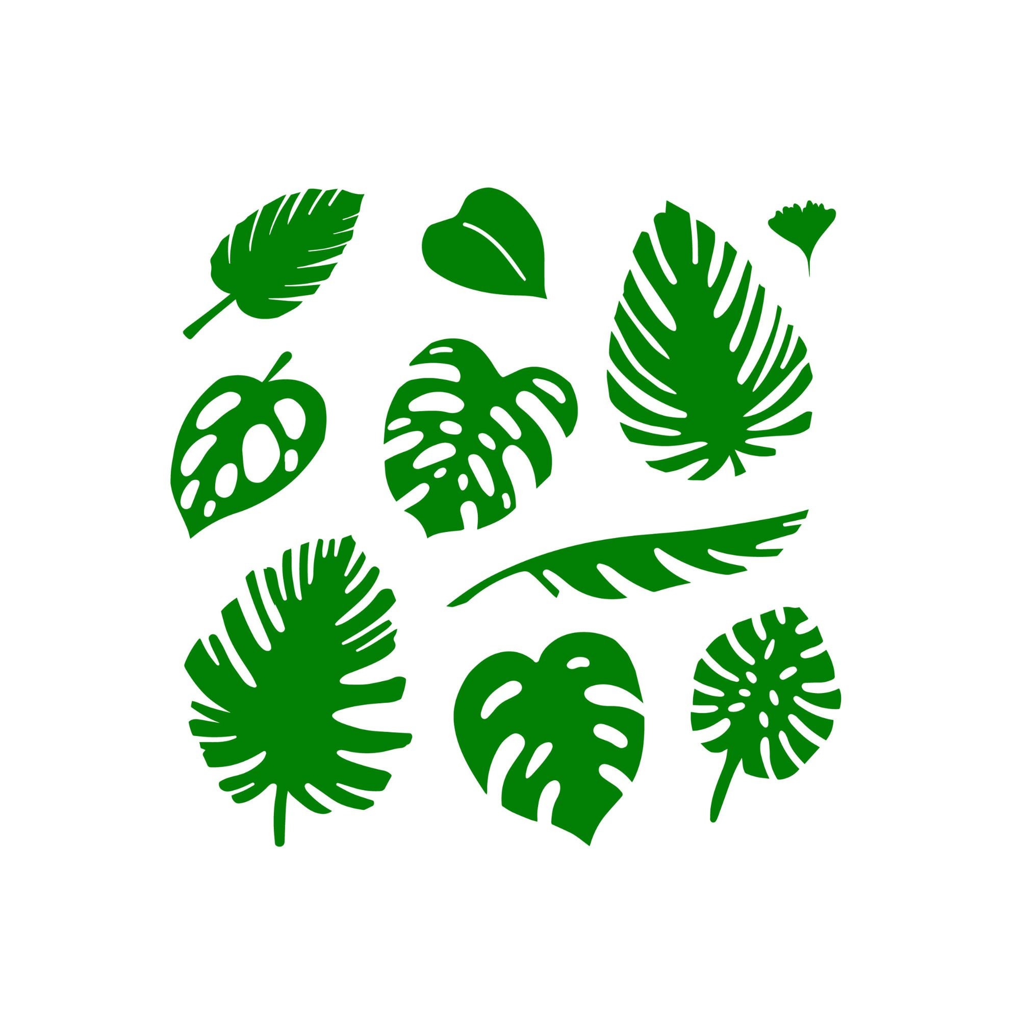 Tropical Leaves Svg Monstera Leaf Svg Clipart Commercial - Etsy