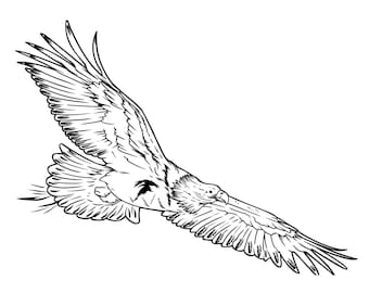 Eagle svg ,Soaring Eagle svg ,Eagle Silhouette,Eagles svg ,instant download ,commercial use