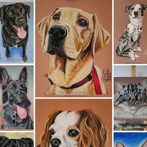 Huisdier portret, pastel huisdier portret, beeldende kunst, 100% handgemaakt