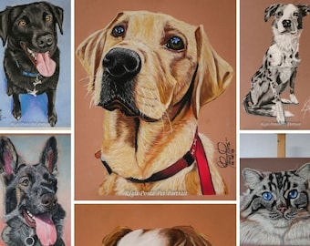 Puede incluir: Un collage de nueve retratos de mascotas, cada uno con un animal diferente. Los retratos están hechos en un estilo realista utilizando lápices de colores. Los animales incluyen un labrador retriever negro, un golden retriever, un pastor australiano blanco y negro, un gato blanco y negro, un cavalier king charles spaniel marrón y blanco, un gato atigrado, un labrador retriever negro, un gato blanco y negro y un pastor australiano blanco y negro.