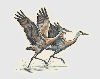 Sandhill Crane Migration Sticker – Kearney & Grand Island Nebraska Bird Watching Gift – Platte River Spring Souvenir