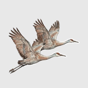 Sandhill Crane Migration Sticker – Kearney & Grand Island Nebraska Bird Watching Gift – Platte River Spring Souvenir